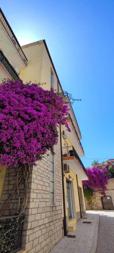 Attico Da Vinci Luxury Penthouse