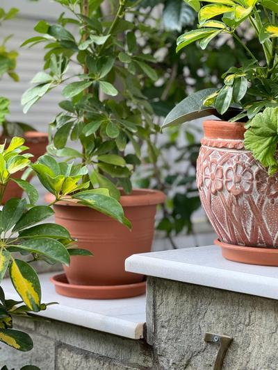 Μονοκατοικία «Maizonette passaggio G»