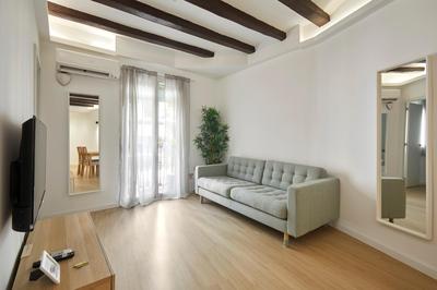 17 Nice apartment next to El Molino