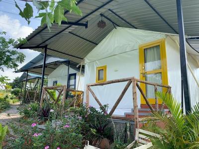 Wilderness Jungle Camp