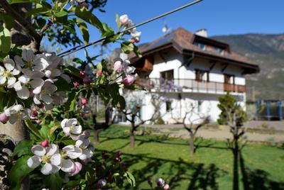 Appartment Gut Wendlandt