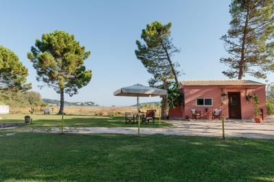 Ddora Luxury Home