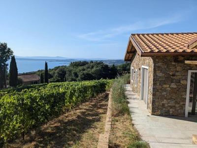 NEW! Apartment immersed in a vineyard