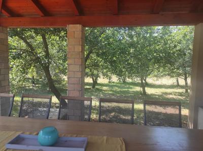 Bedrooms with pool,terrace,barbeque,parking,wifi,air condition
