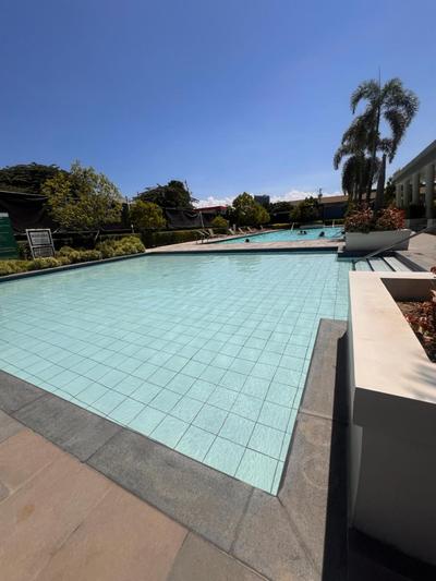 Luna and Allie's Holiday House