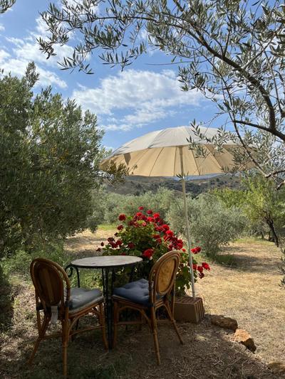 Cortijo alhijra small yurt