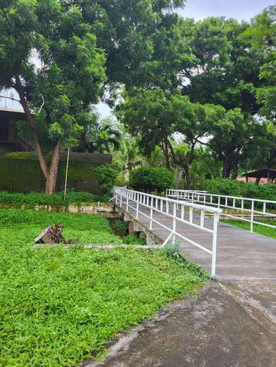 Hotel Museo El Ceibo