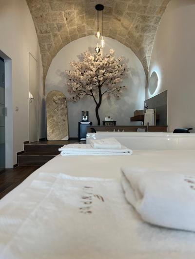 Olympus Luxury Suites