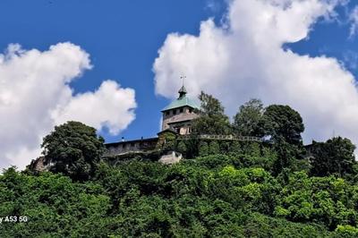 Casa del piccolo olivo