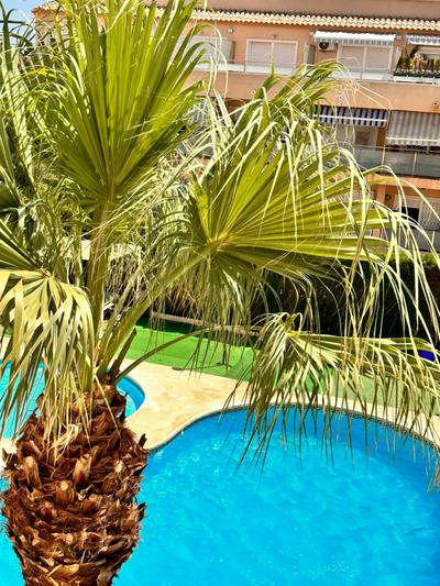 Apartments with sea view, 4 persons, swimming pool and BBQ