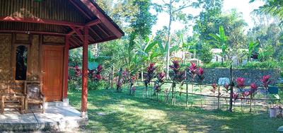 Tereng Wilis Jungle Inn