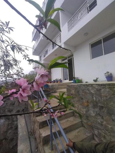 Acon Resorts Kodaikanal