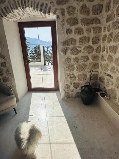Villa Milica