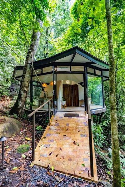 The Nest Unique Jungle Retreat