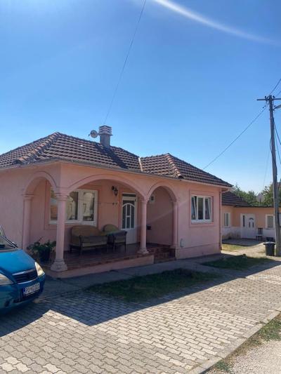 Apatr kiks