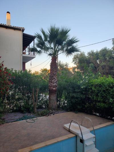 Stef Apartment Lefkada