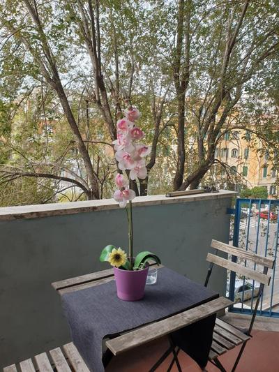 Roma Trastevere Holiday