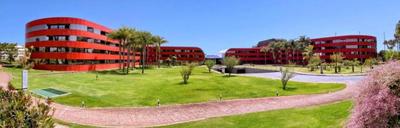 Golden Brasilia - Flat Particular