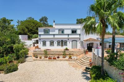 The Lemon Tree Villa