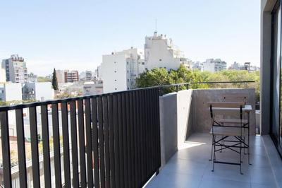 Agave Amazing Apartment
