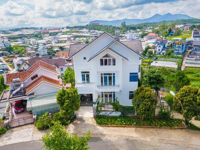 Dolphin Villa - Biệt thự cá heo