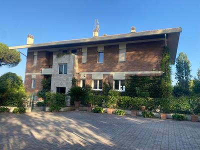 Torrenova 22