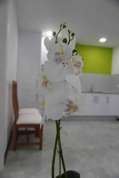 Apartamento Sanin 3