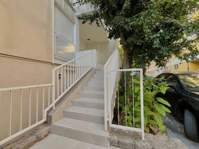 Premium Suite Anemar