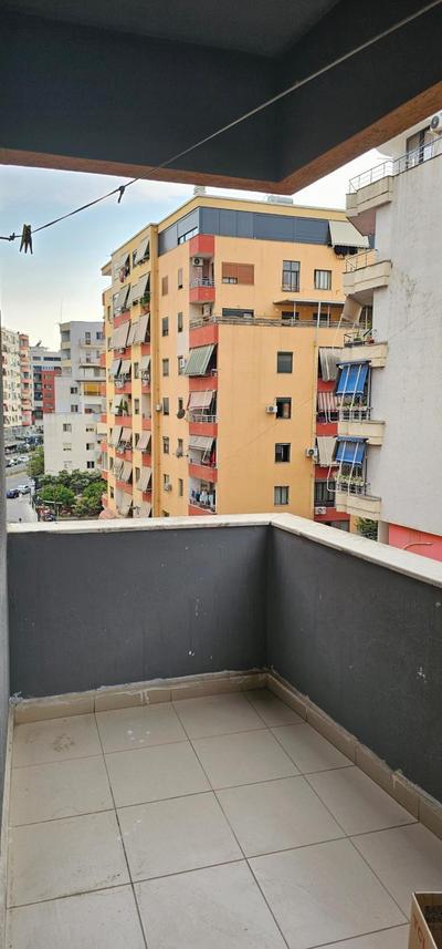 Bear apartment