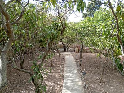 VittorioStella Villa immersa nel verde