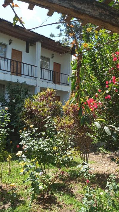 Rosas y Cafetales