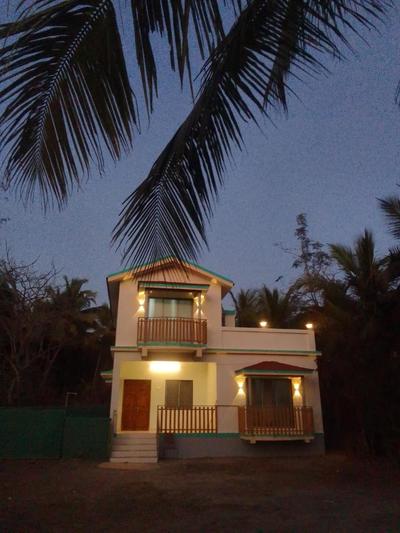 Coconut Nest
