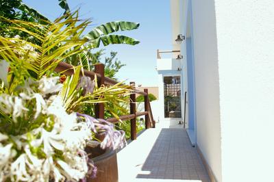 Vila Vale Guest House - Surf & Yoga