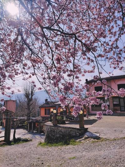 Nuovo Agriturismo Villa Enrichetta