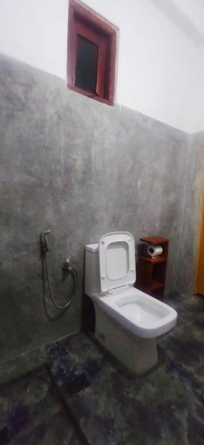 Cloudy Dregs inn ella