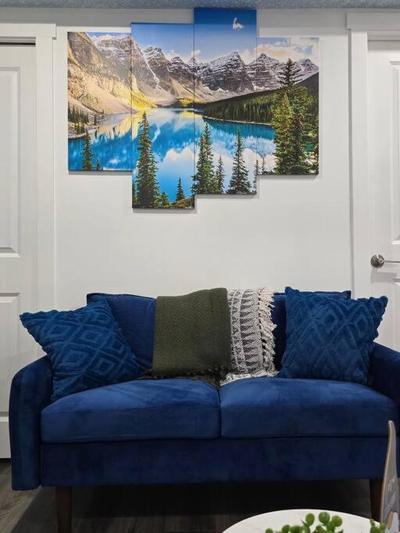 Cozy New 1 bed basement suite