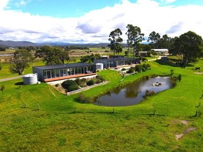 Pelican Point Sanctuary