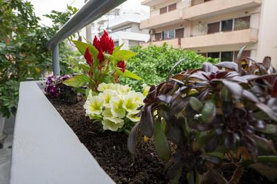 Lux 1-bedroom condo-L&L Refuge