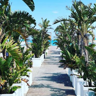 Flamingo Poetto mare a due passi