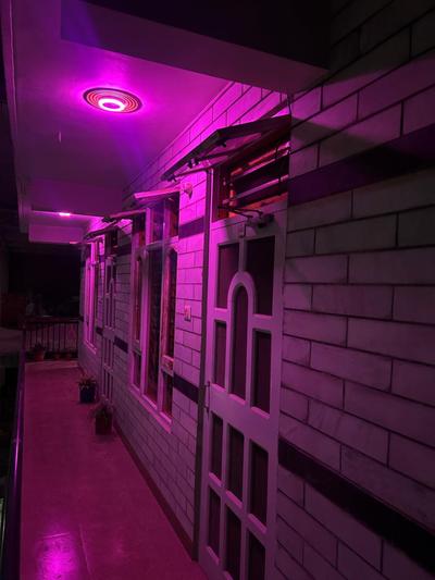 Manat guest house karsog