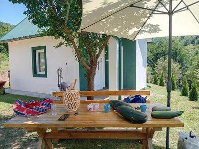 Zelena livada (Green Meadow)