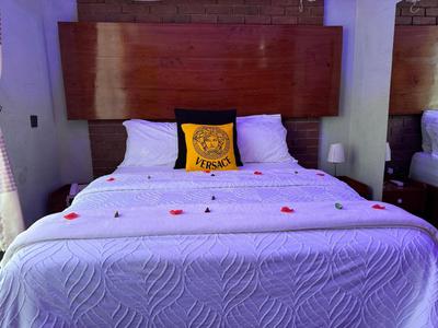 VVIP Single-Self contained Room