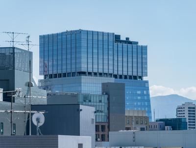 Flower Base HIMAWARI