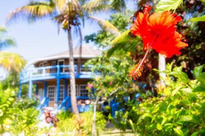 White Sands Cove L02-Gardenview 1 BR Studio by Stay Floreo