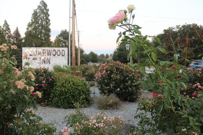 Cedarwood Inn of Ashland