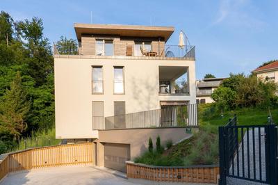 Forest Sky Suite Graz