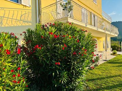Villa Cipressi,Tignale