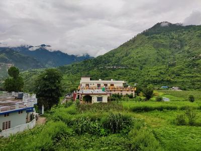 Diksha homestay