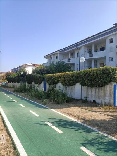 Le Dune e il Gabbiano