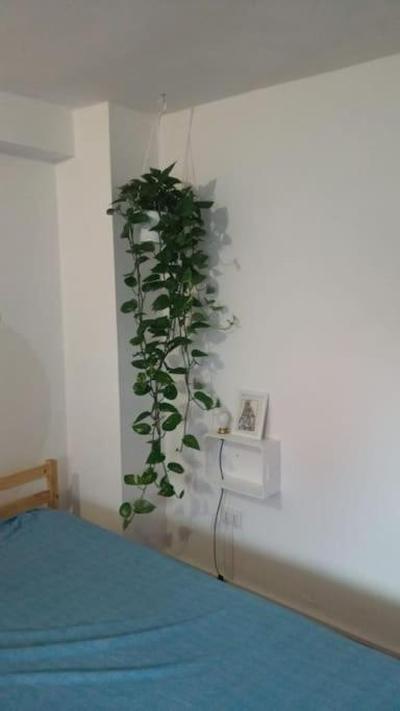 Alghero Holiday Home near the Beach
